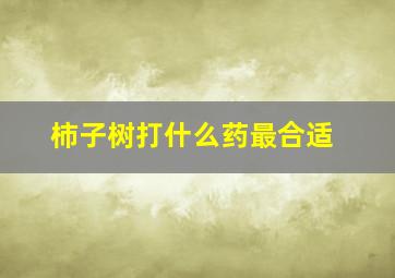 柿子树打什么药最合适