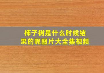 柿子树是什么时候结果的呢图片大全集视频