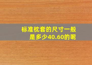 标准枕套的尺寸一般是多少40.60的呢