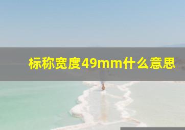 标称宽度49mm什么意思