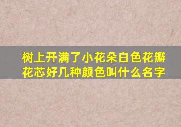 树上开满了小花朵白色花瓣花芯好几种颜色叫什么名字