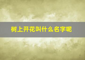 树上开花叫什么名字呢