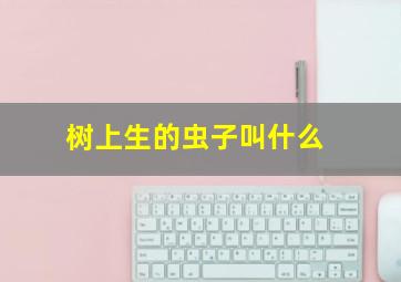 树上生的虫子叫什么