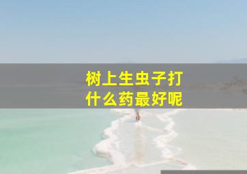 树上生虫子打什么药最好呢