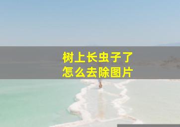 树上长虫子了怎么去除图片