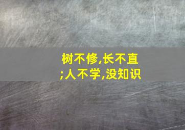 树不修,长不直;人不学,没知识