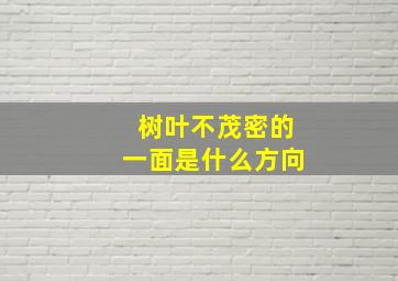 树叶不茂密的一面是什么方向