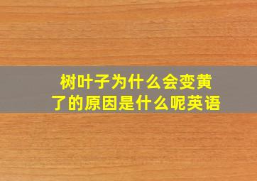 树叶子为什么会变黄了的原因是什么呢英语