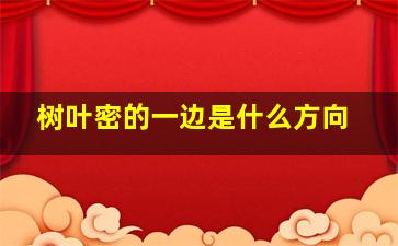 树叶密的一边是什么方向