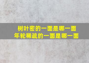 树叶密的一面是哪一面年轮稀疏的一面是哪一面