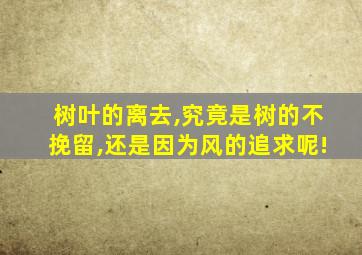 树叶的离去,究竟是树的不挽留,还是因为风的追求呢!