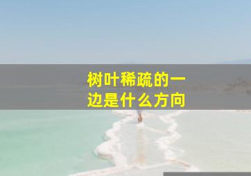 树叶稀疏的一边是什么方向