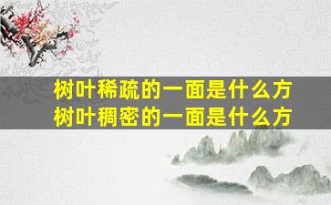 树叶稀疏的一面是什么方树叶稠密的一面是什么方