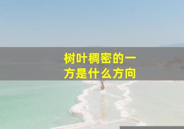 树叶稠密的一方是什么方向