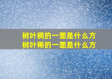 树叶稠的一面是什么方树叶稀的一面是什么方