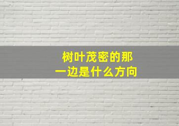 树叶茂密的那一边是什么方向