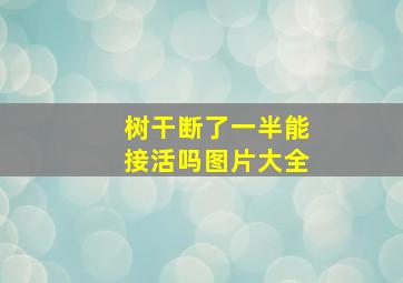 树干断了一半能接活吗图片大全