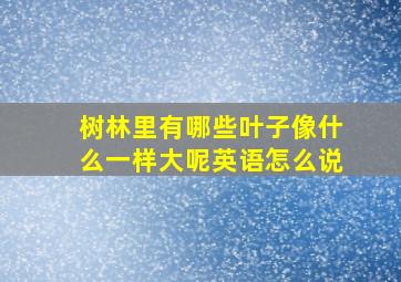 树林里有哪些叶子像什么一样大呢英语怎么说