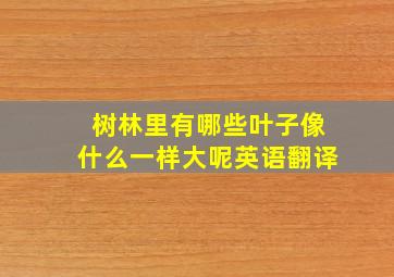 树林里有哪些叶子像什么一样大呢英语翻译