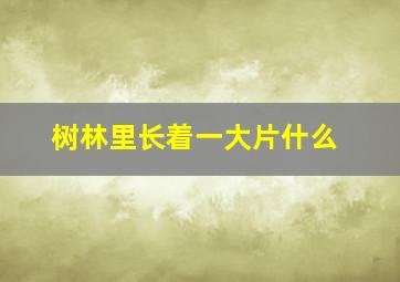 树林里长着一大片什么