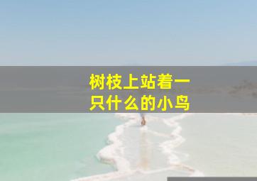 树枝上站着一只什么的小鸟