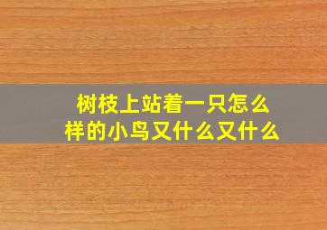 树枝上站着一只怎么样的小鸟又什么又什么