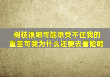 树枝很细可能承受不住我的重量可我为什么还要去冒险呢