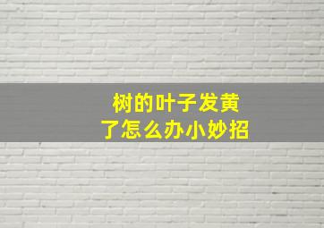 树的叶子发黄了怎么办小妙招