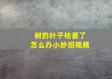 树的叶子枯萎了怎么办小妙招视频