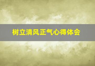 树立清风正气心得体会