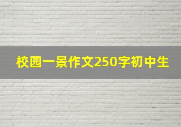 校园一景作文250字初中生