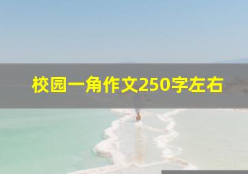 校园一角作文250字左右