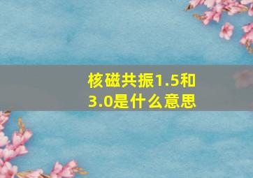 核磁共振1.5和3.0是什么意思