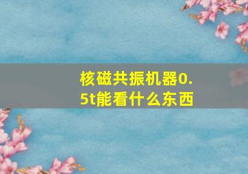 核磁共振机器0.5t能看什么东西