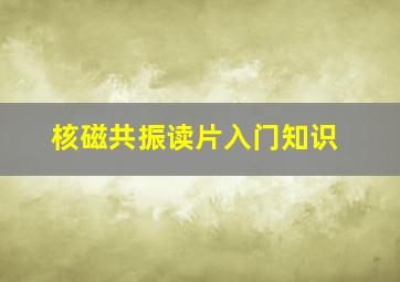 核磁共振读片入门知识