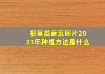 根茎类蔬菜图片2023年种植方法是什么