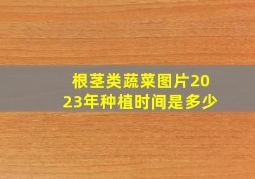 根茎类蔬菜图片2023年种植时间是多少