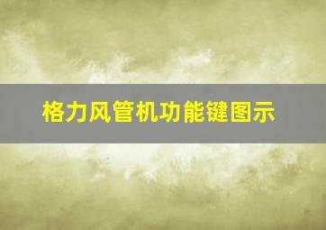 格力风管机功能键图示