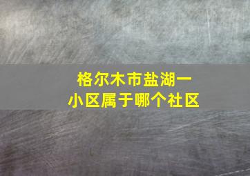 格尔木市盐湖一小区属于哪个社区