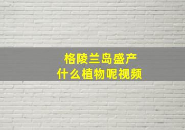 格陵兰岛盛产什么植物呢视频