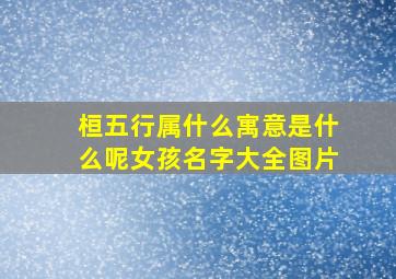 桓五行属什么寓意是什么呢女孩名字大全图片