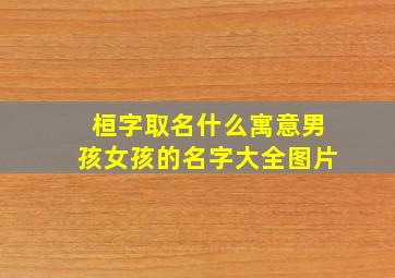 桓字取名什么寓意男孩女孩的名字大全图片