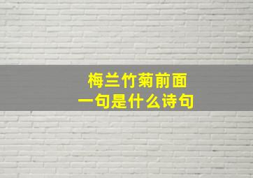 梅兰竹菊前面一句是什么诗句