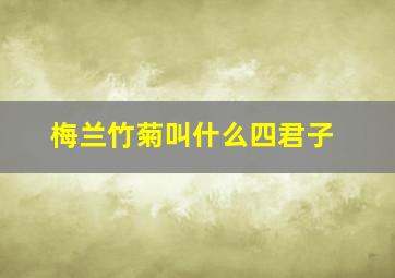 梅兰竹菊叫什么四君子