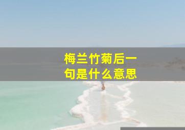 梅兰竹菊后一句是什么意思