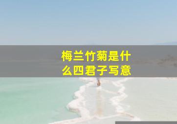 梅兰竹菊是什么四君子写意