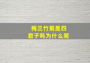 梅兰竹菊是四君子吗为什么呢