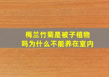 梅兰竹菊是被子植物吗为什么不能养在室内