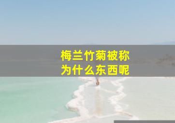 梅兰竹菊被称为什么东西呢