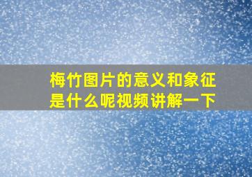 梅竹图片的意义和象征是什么呢视频讲解一下